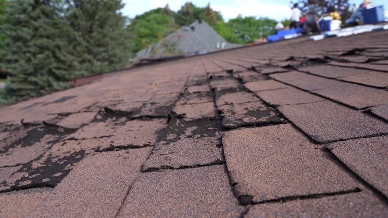Best Sheet Metal Roofing  in North Ridgeville, OH